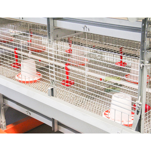 Chuồng gà tầng kiểu H GREAT FARM, nuôi gà đẻ trứng, gà thịt - Product Image 4