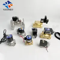 الصين Yueer 2W 1/4 "-2.5" SS304 النحاس الغاز DC 9V 12 فولت مقاوم للرطوبة المياه الكهربائية الكهربائية الملف اللولبي صمام 24V