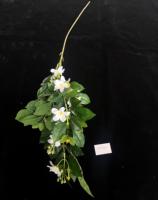Nouvelles Branches Artificielles de Banyan et Fleurs Jaunes d'Osmanthus pour Décoration Maison et Fêtes - Collection 2026