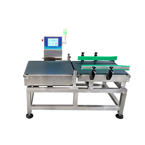 Selezionatrice ponderale per impieghi gravosi con display touchscreen in acciaio inox 304, precisione 3-5g per imballaggi sfusi - Product Image 1