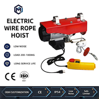 Alat Angkat Listrik Mini Anti Karat Nirkabel Bersertifikasi CE IP54 110V untuk Toko, Pertanian, Bengkel, dan Crane