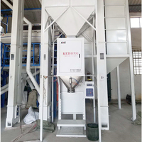 Granule Weighing Packaging Machine X 0.2 Accuracy 10g Division Value AC380V Pneumatic Actuator Rice Sugar Feed Packing Equipment