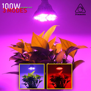 Lámpara <span class=keywords><strong>LED</strong></span> de Espectro Completo IP65 de Acero Inoxidable para Cultivo de Plantas, Bombillas para Interior con UV e IR, para Vegetación, Floración y Cultivo Hidropónico en Invernadero - Product Image 2