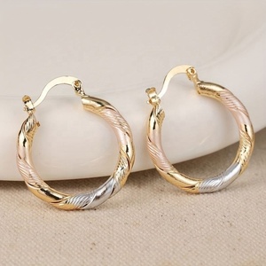 ต่างหูสแตนเลสสตีลผู้หญิงขายดี ดีไซน์แหวนเรียบสีแฟชั่นประดับเพชร เครื่องประดับอเนกประสงค์สำหรับยุโรป - Product Image 4