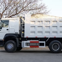Venta Global de Camiones Volquete HOWO de 10 Ruedas, Todo Tipo, Bien Recibidos, Buen Estado, Motor Weichai Euro 3, Volante a la Izquierda, Diésel