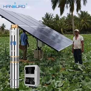 600W 48V 4.5M 3/H 80M 1.25 Inci Tinggi Kepala DC Sumur Dalam Pompa Air Celup Surya dengan Impeller Baja Tahan Karat