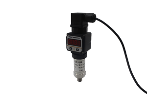 Trasmettitore di Pressione Digitale Hessmann ad Alta Precisione 0,5% ZKMD-YL-10 12-36V DC Protezione IP65 Compatibile 316L - Product Image 5