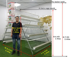 Loại Một Gia Cầm Trang Trại Trứng Lớp Pin Động Vật Lồng Gà Gà - Product Image 2