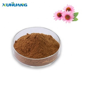 Cựu chiến binh nhà sản xuất của 4% hplc chicoric axit từ Echinacea chiết xuất - Product Image 3