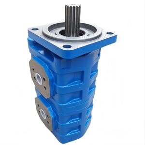 รถตัก HuamaoLiugong รุ่น CBGJ2/2 ปั๊มเกียร์ไฮดรอลิกคู่สำหรับขาย - Product Image 3