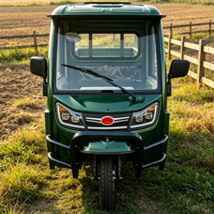 Triciclo Cargo con Cabina Integrata in Lamiera, Certificazione EEC COC, Dotato di Motore ad Alta Potenza 72V 1500W - Product Image 2