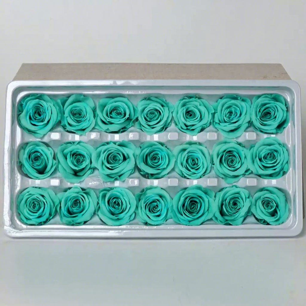 Turquoise