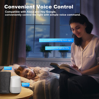 Produk Rumah Pintar Mini Tuya WiFi Smart Life Timer 2 Arah Lampu LED Dimmable Dimmer Saklar Pintar