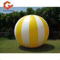 Ballon de plage géant gonflable Ballon de sport en PVC pour les jeux d'eau en plein air Ballon gonflable de volley-ball à vendre
