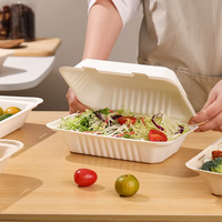 Vaisselle jetable compostable, boîte à lunch à clapet 2 compartiments en bagasse de canne à sucre, kits de fournitures de fête biodégradables