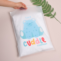 Sac en plastique personnalisé avec logo, transparent givré, fermeture éclair, sac d'emballage pour vêtements, sacs d'emballage en plastique givré avec fermeture éclair pour vêtements