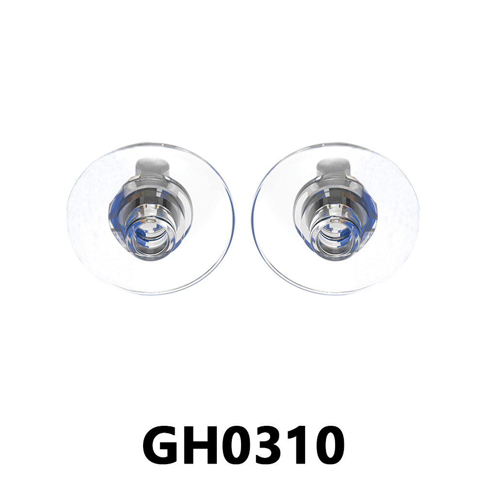 GH0310
