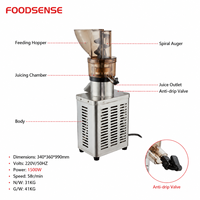 Sapopbrengst voor restaurants en juice shops, fruit- en groenteverwerking, industriële roestvrijstalen slowjuicer-extractor machine