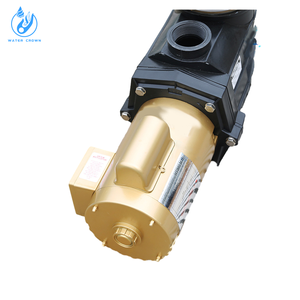 Watercrown fabrique des pompes à eau et des systèmes de filtration pour piscines de la série SP, adaptés aux piscines. - Product Image 5