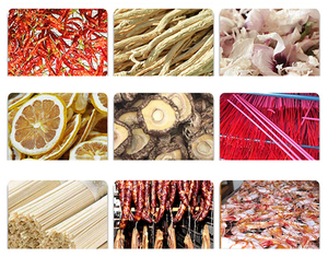 Machine de séchage et d'hydratation à air chaud avec écran tactile et contrôle numérique PLC pour poisson, viande, bananes, bonbons, fruits de mer, café et aliments - Product Image 2