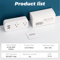 Prise US 16A Tuya WiFi Smart Double Prise USB Compatible Google Home Alexa Adaptateur de Prise 2-Ac IP33 Étanche Anti-Sabotage