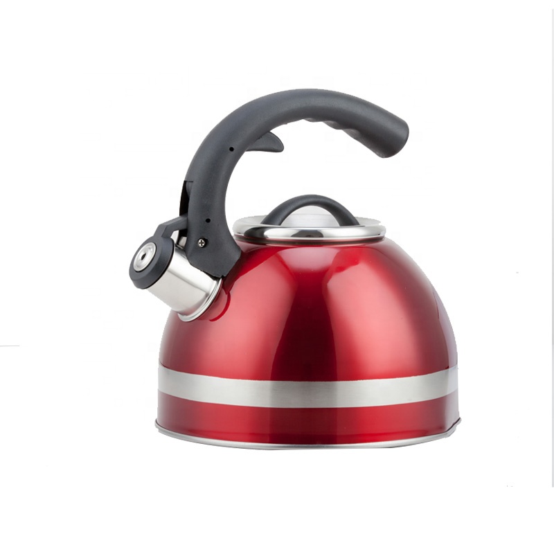 Чайник из нержавеющей стали с ярким принтом для отеля, 3 л