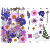 Kit de fleurs séchées sous vide, 40 pièces assorties pour journalisation, scrapbooking, fabrication de cartes, matériel artisanal