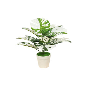 Plantas Artificiales Realistas de Hoja Grande en Maceta para Decoración de Exteriores, Venta al Por Mayor - Product Image 6