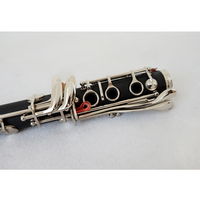 China Made Sinomusik Wholesale Custom Professional Performance Level OEM Bb 17 Keys Clarinet Windwood Music Instrument