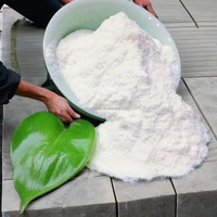 Adhésif pour carrelage P2p Chemical HIDROXIPROPIL METIL CELULOSA Hpmc Manufacturer