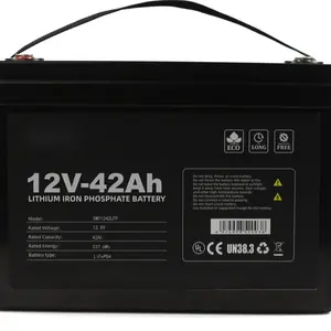 12V 42 Ah Zonne-Energie/Rv/Jacht/Boot/Back-Up Vermogen Lithium Ion Lifepo4 Ijzerfosfaat Li-Ion Batterij