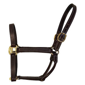 Haute qualité personnalisé cheval licou bride Durable confortable collier de tête corde de plomb PVC enduit Nylon sangle lumières professionnel - Product Image 1