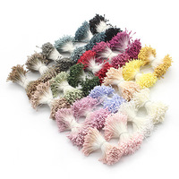 600 pièces/lot bricolage artisanat fait à la main perle couleur fleur 600 pièces 10 mm étamine artisanat pistil pour la décoration de fleurs artificielles