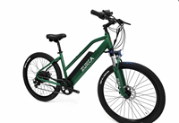 Vélo de montagne électrique sans balais personnalisable en alliage d'aluminium de 26 pouces, moyeu arrière 250W, batterie au lithium 36V 7.8Ah, 7 vitesses, tout-terrain