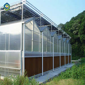 Sainpoly serre agricole polycarbonat gewächshaus hydrokultur gewächshaus von china - Product Image 2