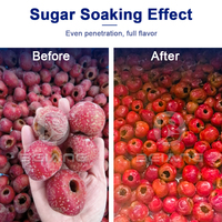 Kersen Vacuüm Suikerinfusie Machine Fruit Snoep Verwerkingsapparatuur Industriële Kwaliteit