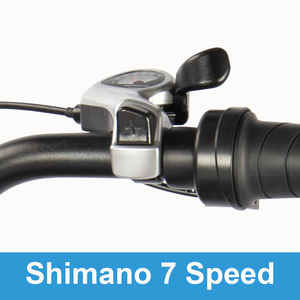 Vélo électrique 2 places Offre Spéciale ue pour adultes vélo à frein à disque Bicicleta Electrica 48V 20 pouces vélo électrique - Product Image 3