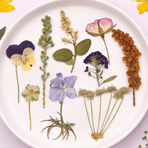 500 pièces/paquet de fleurs séchées, tiges de fleurs pressées, botaniques, artisanales, réalistes, éternelles, naturelles, marque-pages, cadre, Saint-Valentin - Product Image 6