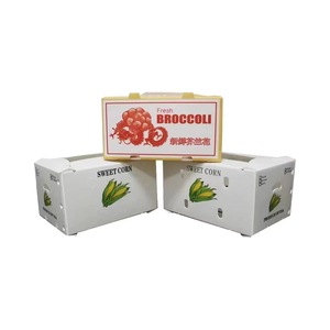 Cajas de Embalaje de Mariscos y Ostras de Polipropileno Corrugado Reciclable al Mejor <span class=keywords><strong>Precio</strong></span>, Cajas de Plástico Huecas para Almacenamiento y Transporte de Langostas - Product Image 5
