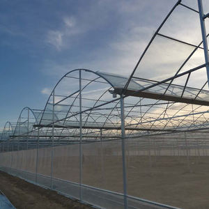 Túnel <span class=keywords><strong>de</strong></span> polietileno agrícola comercial <span class=keywords><strong>de</strong></span> alta resistencia, invernadero <span class=keywords><strong>de</strong></span> un solo tramo, <span class=keywords><strong>planta</strong></span> <span class=keywords><strong>de</strong></span> hongos <span class=keywords><strong>de</strong></span> película <span class=keywords><strong>de</strong></span> PE moderna <span class=keywords><strong>de</strong></span> bajo costo - Product Image 4