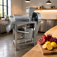 Industriële fruitverwerkingsinstallatie, appelsap- en ananassapcentrifuge, SUS 304 spiraalvormige sapcentrifuge, hoge productiviteit, 220V