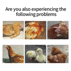 Poulet, canard, oie : Traitement contre la toux froide, l'influenza, la maladie de Newcastle, les tremblements de tête et les éternuements - Product Image 3