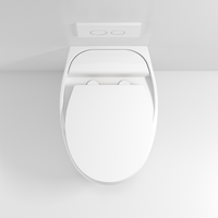 Ensemble de toilettes en céramique, nouveau design 2022-2023, couleurs variées, sanitaire, à vendre