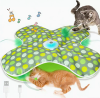 Cache-cache pour chat, jouet de chasse pour animaux de compagnie, jouet anti-ennui pour chats