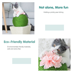 Fabricant Vente en gros Corde de résistance aux morsures Fleur Cactus Chat Grattoir Balle Jouet - Product Image 4