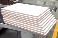 Máquina de Corte de Paneles CNC de Alta Precisión de 2800 mm y 3800 mm con Software Optimizado