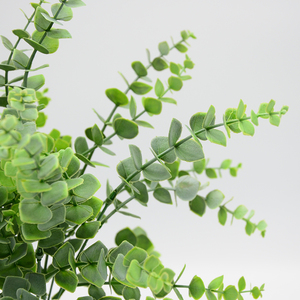 Piante Verdi Artificiali Ornamenti di <span class=keywords><strong>Eucalipto</strong></span> Mazzo di Foglie Erba Decorativa Piante Artificiali - Product Image 3