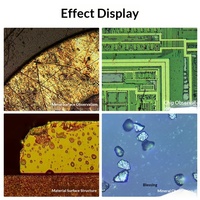 Microscope métallographique trinoculaire de qualité recherche Sanqiang Taida GM2X, 2K/4K, mise au point automatique, grossissement 4000x, capture photo/vidéo