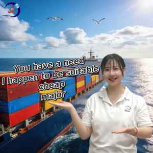 Envío Exprés desde China a Dirección Privada Alibaba 1688 Amazon con Servicio Económico Puerta a Puerta DDP y DDU LCL - Product Image 1