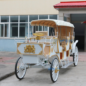 Carruaje de Lujo Eléctrico sin Caballos para Bodas, Carruaje Real para Paseos Turísticos, Carruaje de Princesa Cenicienta / Carruaje Eléctrico - Product Image 5
